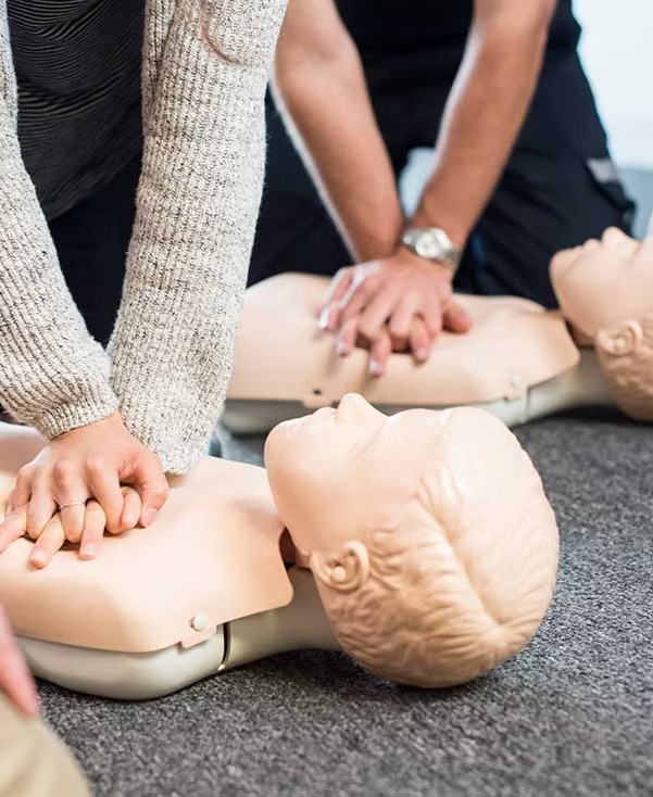 First Aid Training Course Everton Park | AOK First Aid Training